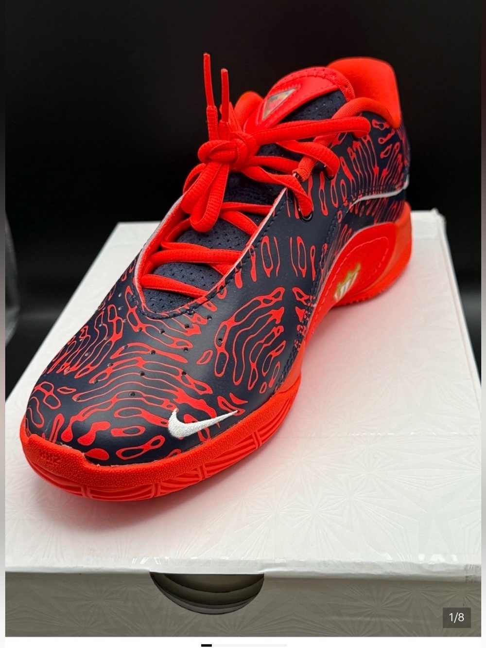 Nike LEBRON Jordan’s